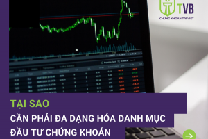 TẠI SAO CẦN PHẢI ĐA DẠNG HÓA DANH MỤC ĐẦU TƯ CHỨNG KHOÁN?